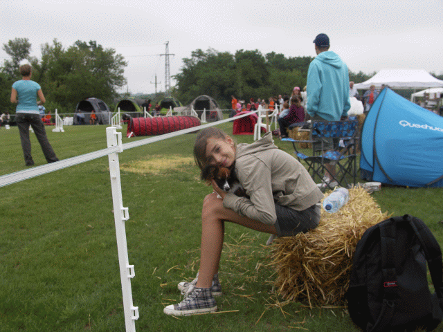 Agility verseny egyik rsztvevi